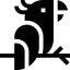 papagáj